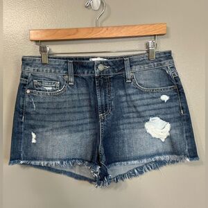Paige Daryn denim short distressed frayed fringe‎ festival boho size 29